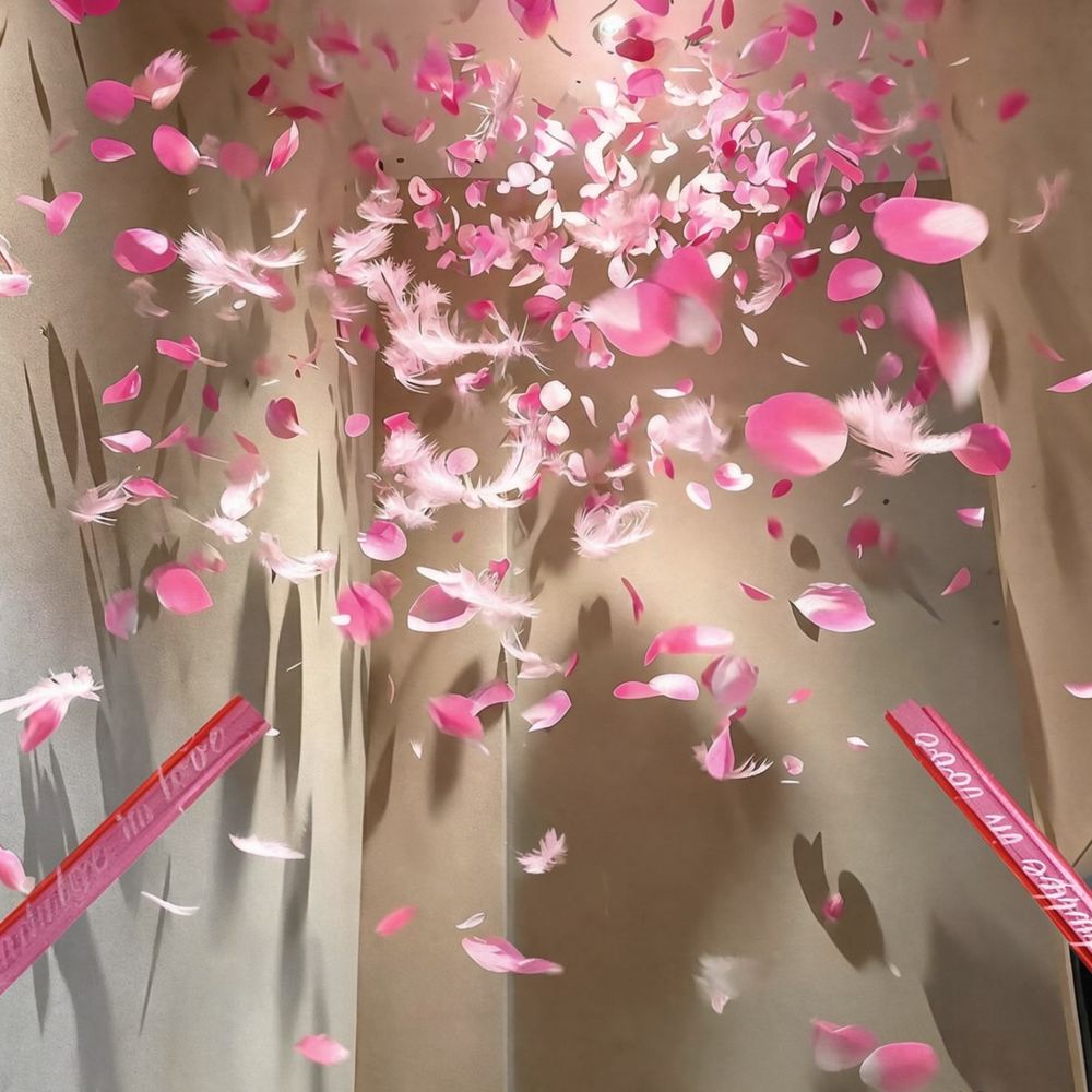 Confetti Cannon Handheld Weddi - Confetti Cannon Tube review and price
